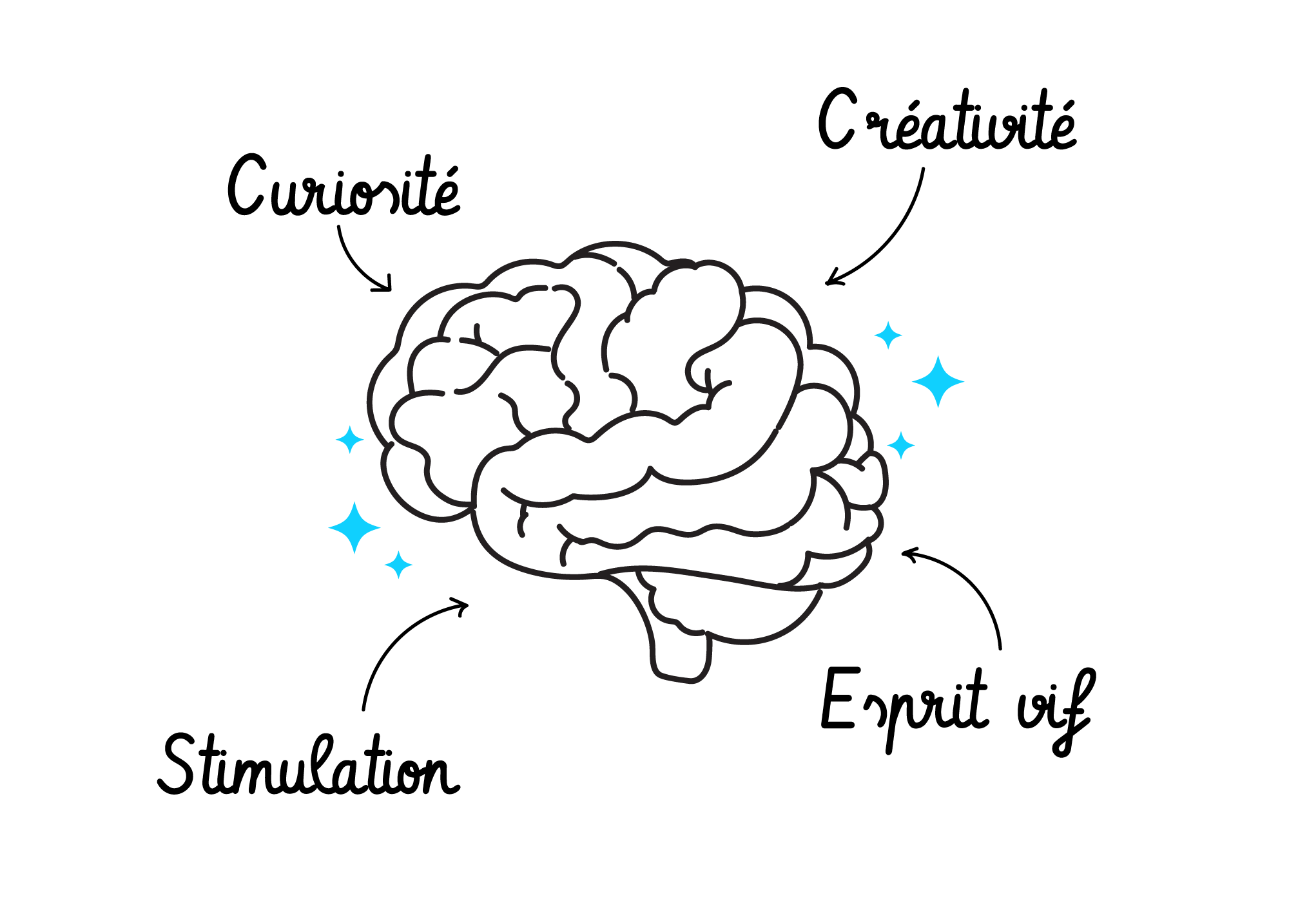 Cerveau mettant scène les bienfaits du coloriage, du dessin, du jeu. Le coloriage réduit le stress, favorise la créativité, augmente l'intelligence et diminue l'anxiété. Dessiner stimule la production d'endorphines, stimule l'intuition et développe la créativité.